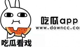 有网红吃瓜网站吗,揭秘娱乐圈幕后真相